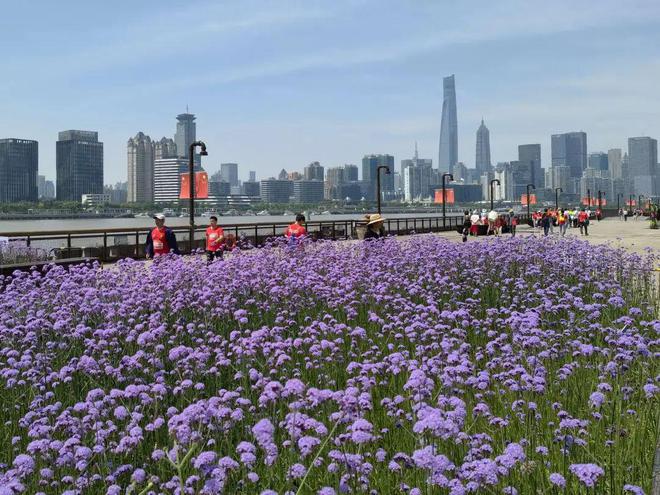 有爱无“碍”！杨浦滨江高燃开赛(图8)