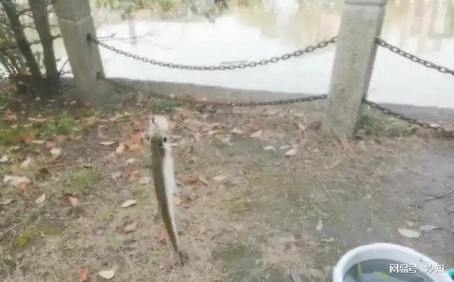 南京学生钓鱼落水后续自称是贫困生全身却价值上万诬陷保安(图5)