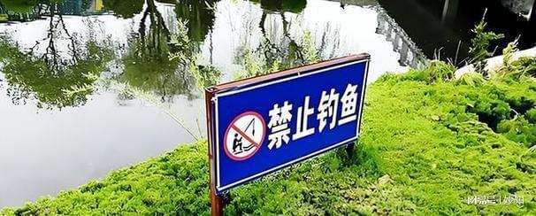 南京学生钓鱼落水后续自称是贫困生全身却价值上万诬陷保安(图6)