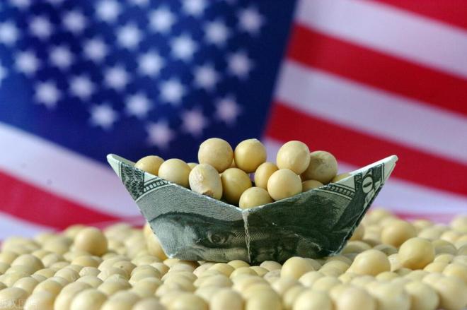 特朗普天塌了！明明约定好互相减税为什么中国人还是不买美国货(图2)