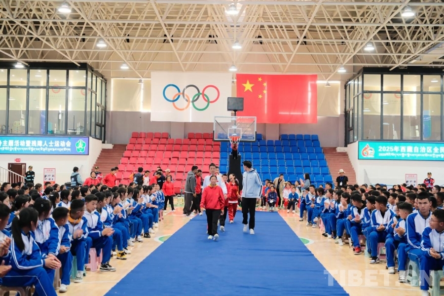 2025年西藏自治区全民健身主题活动暨残障人士运动会在拉萨举办(图8)