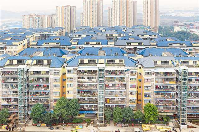 九游app：一件街巷小事 办成暖心实事｜巷陌温情暖岁寒‌(图1)