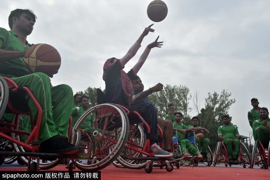 全球与中国轮椅市场产销前景分析报告(图1)