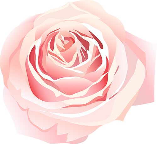 三八妇女节 了不起的“她”！向这些残疾人和助残先进致敬(图1)